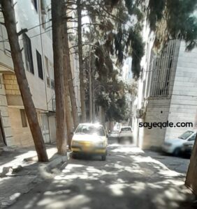 کوچه درختی شهر قدس (2)